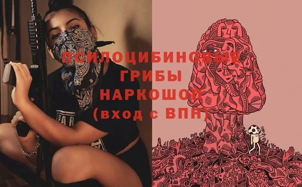 mix Богородицк