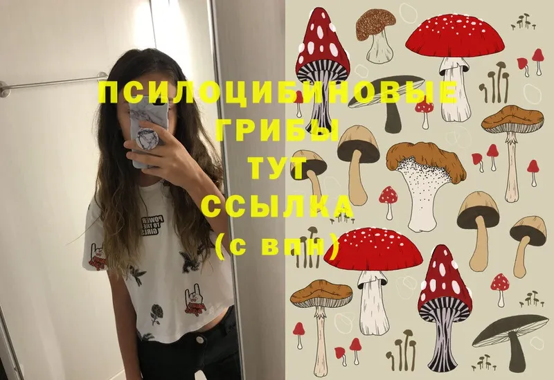 Псилоцибиновые грибы Psilocybine cubensis  Семилуки 